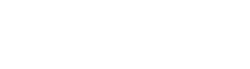 Spot it Logo